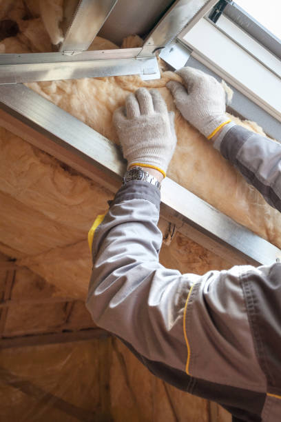 Best Commercial Insulation in Ashley, OH