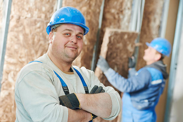 Best Cellulose Insulation in Ashley, OH